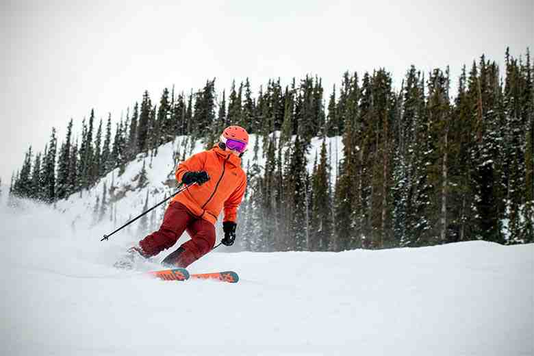 Étui pour skis et snowboards Sportube Series 3 (249,95 $ ; backcountry.com)